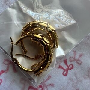 Stainless steel Gold Hoop Earrings